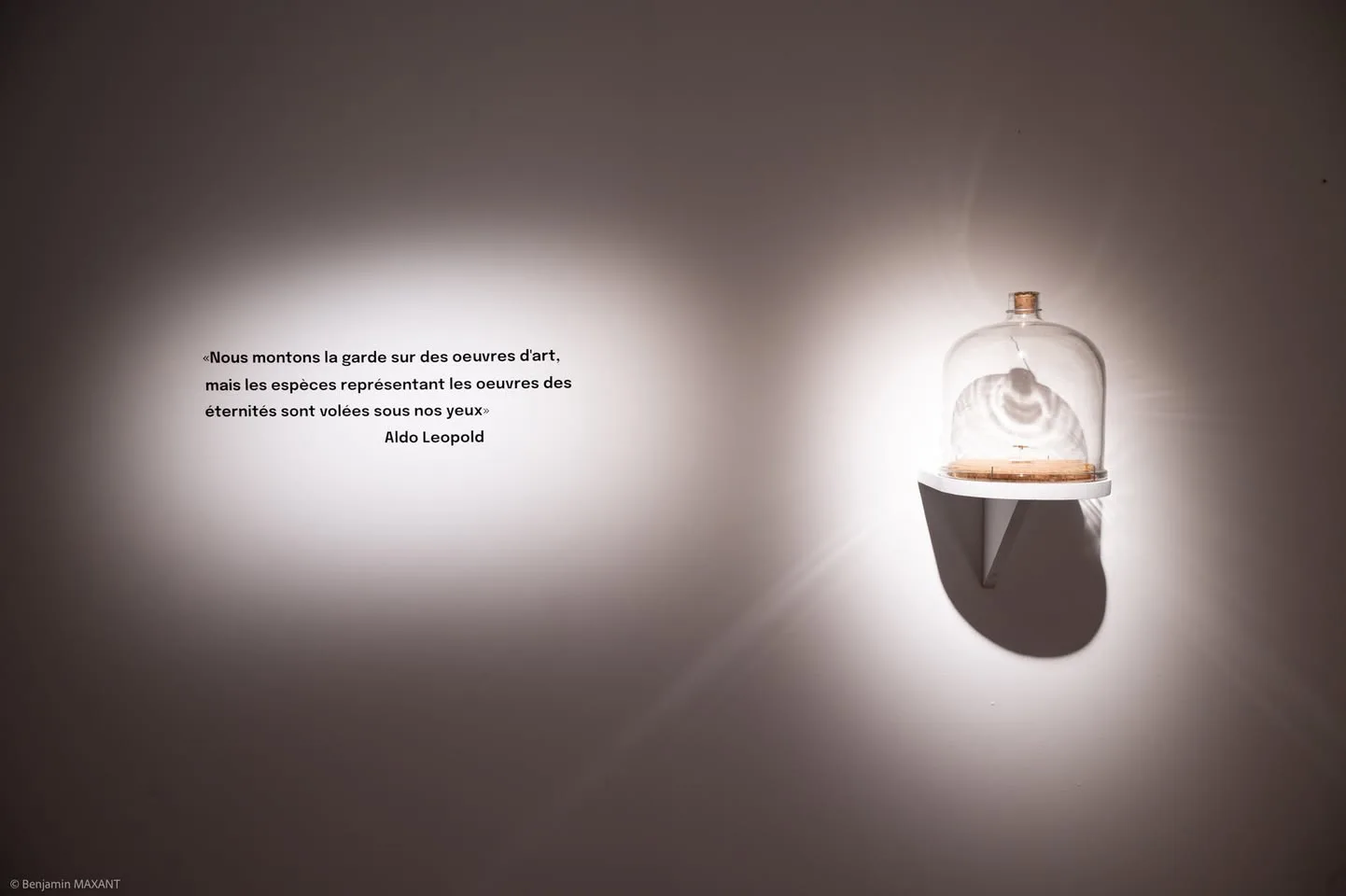 Vitrine sous cloche de l'exposition Love Is To Act au CAIRN Centre d'art