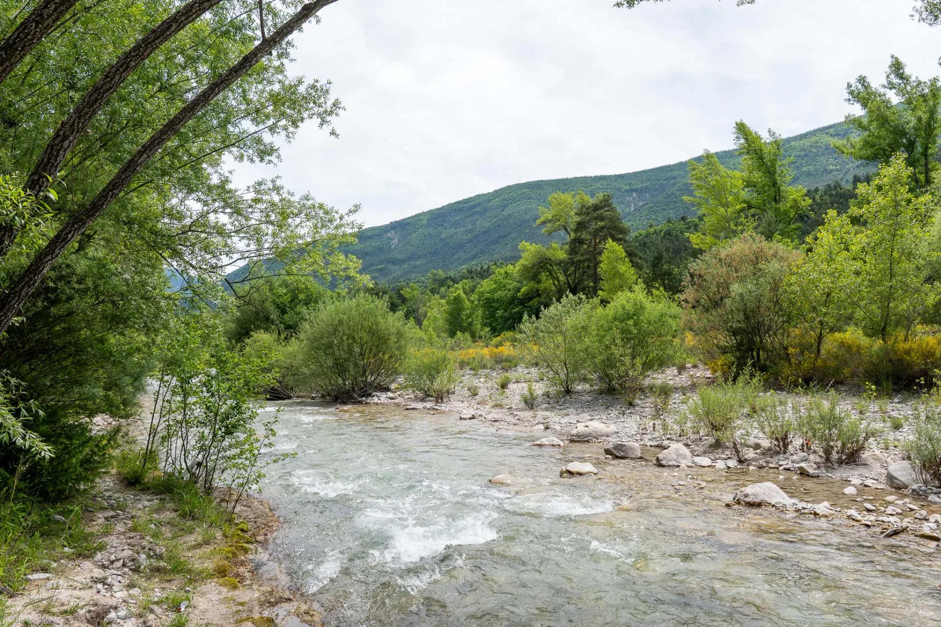 Rivière bordant le camping La Ribière avec vue sur les montagnes d'Annot
